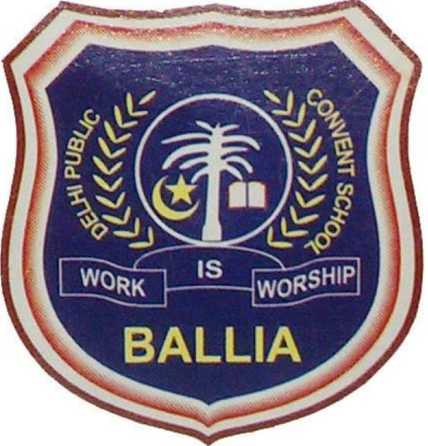 DELHI PUBLIC CONVENT SCHOOL  